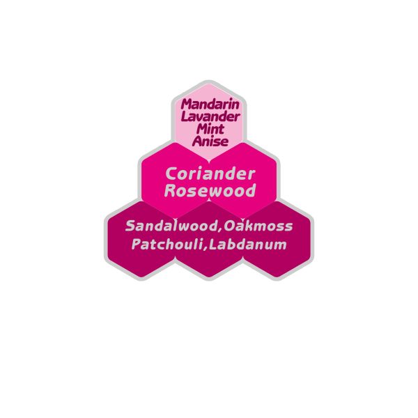 اسانس عطر کارتیر پاشا مردانه