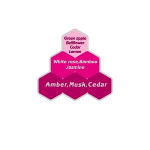 اسانس عطر دی اند جی لایت بلو زنانه