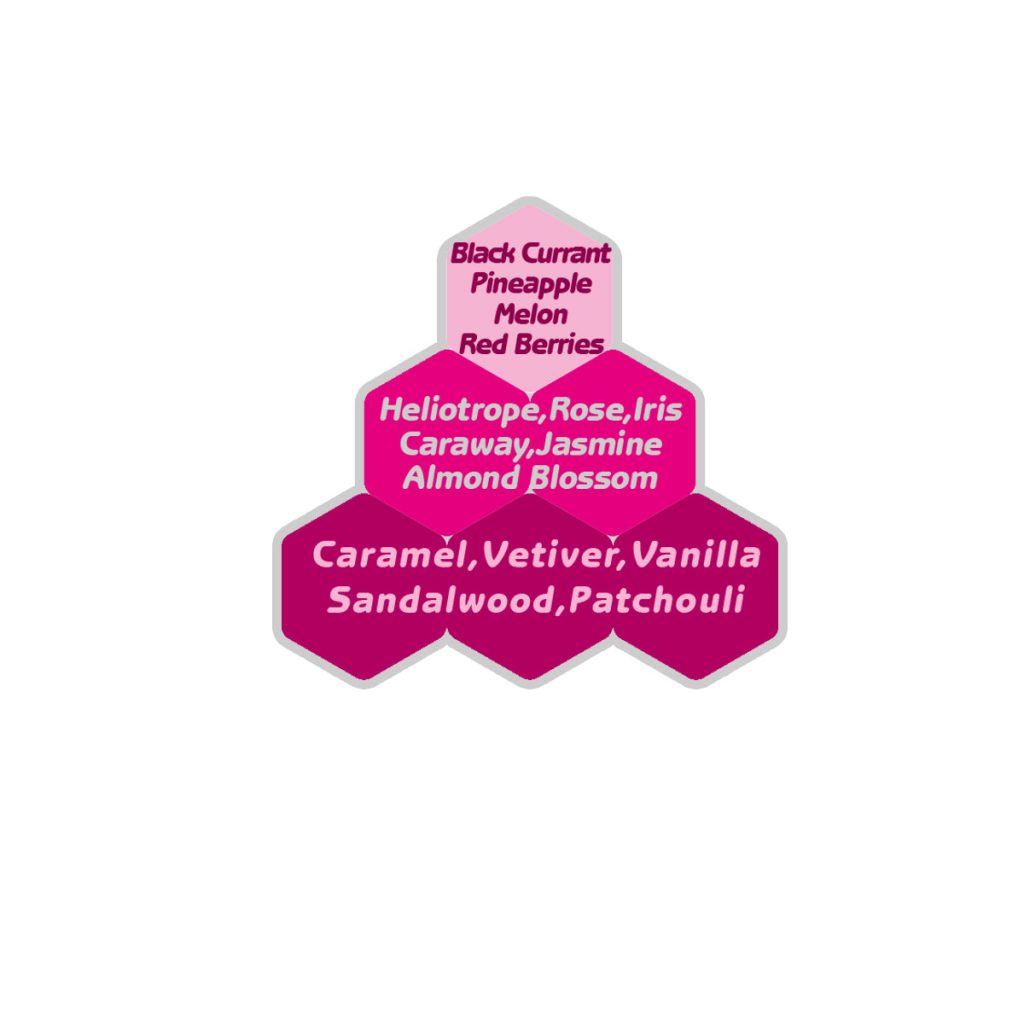 اسانس عطر اسکادا مگنتیسم