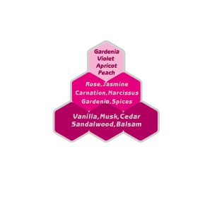 عطر کلوهه نارسیس