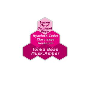 عطر ورساچه پورهوم