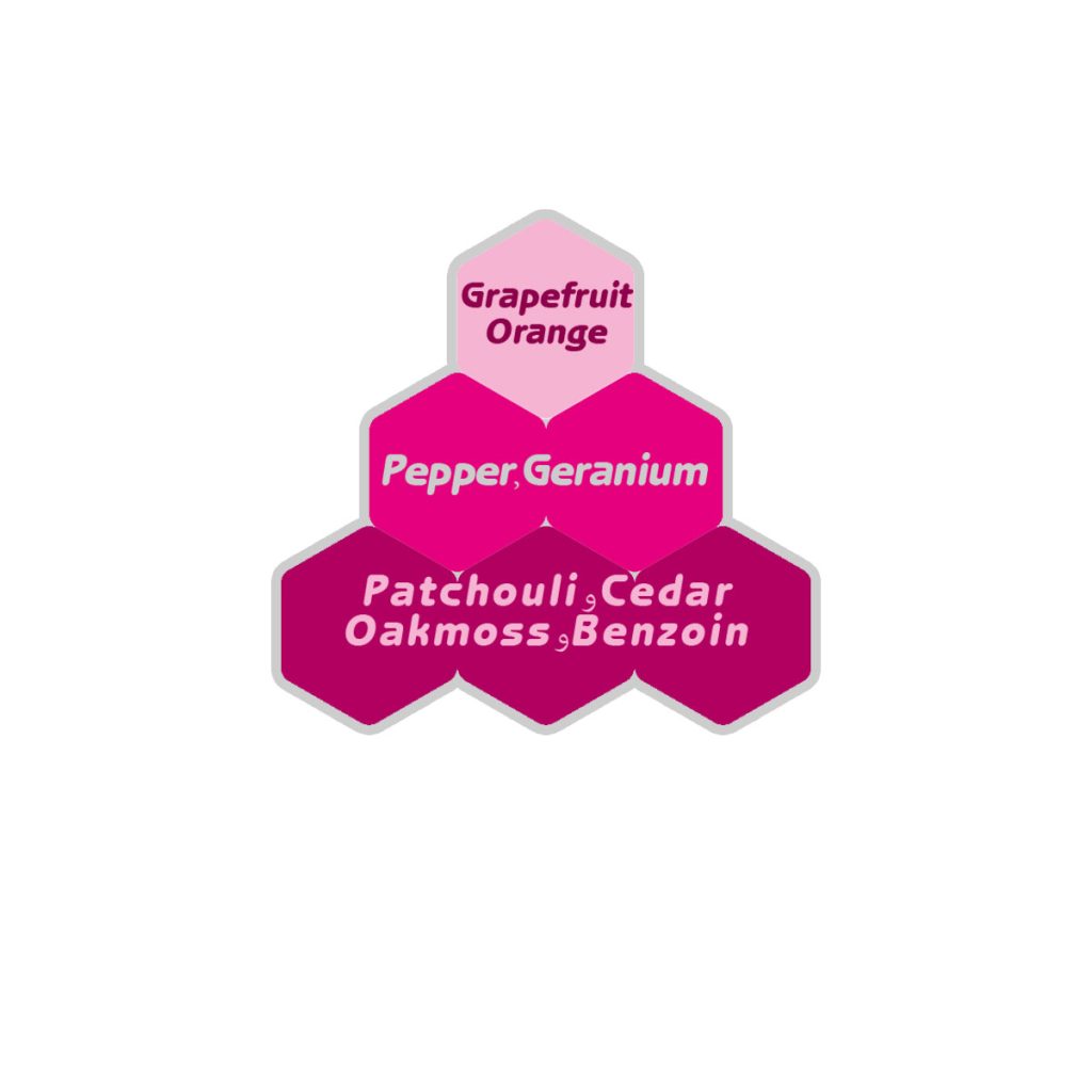 عطر تق هرمس پرفیوم